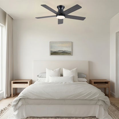 AeroElegance Ceiling Fans with Lights