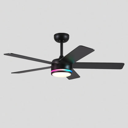 RGB Modern Black Ceiling Fan Light
