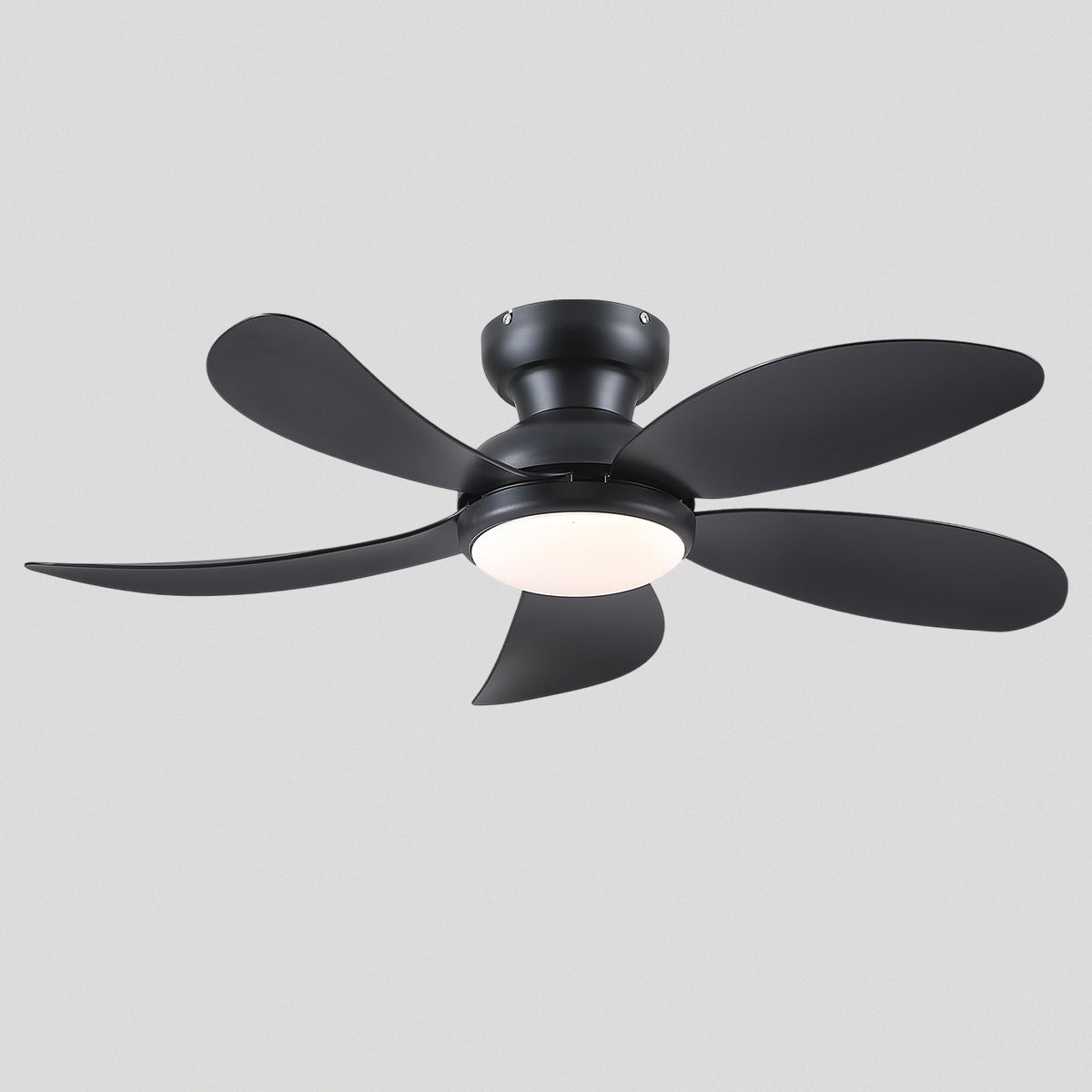 Graceshire contemporary ceiling fan
