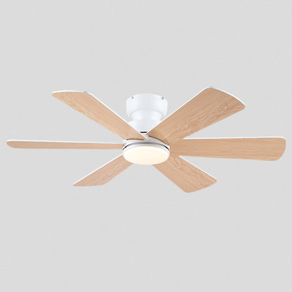 Celestial Wind Ceiling Fans with Lights