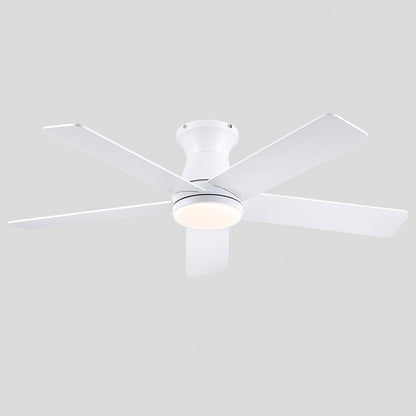 AeroElegance Ceiling Fans with Lights