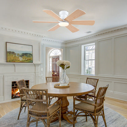 Celestial Wind Ceiling Fans with Lights