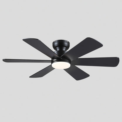 Celestial Wind Ceiling Fans with Lights
