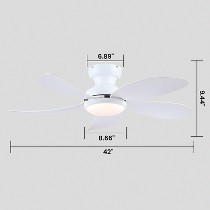 Graceshire contemporary ceiling fan