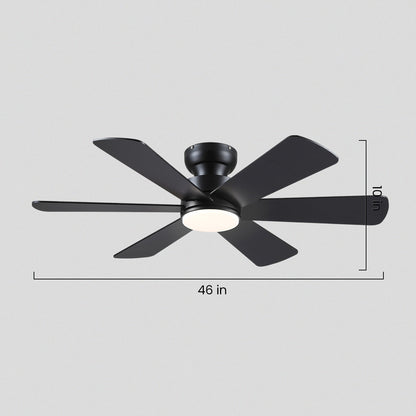 Celestial Wind Ceiling Fans with Lights