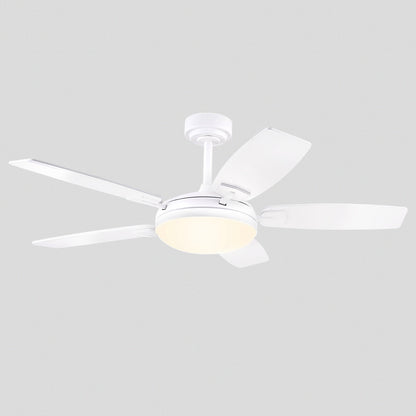Zephyra Ceiling Fans with Lights 52"
