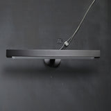 Denise Contemporary LED Picture Light