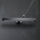 Denise Contemporary LED Picture Light